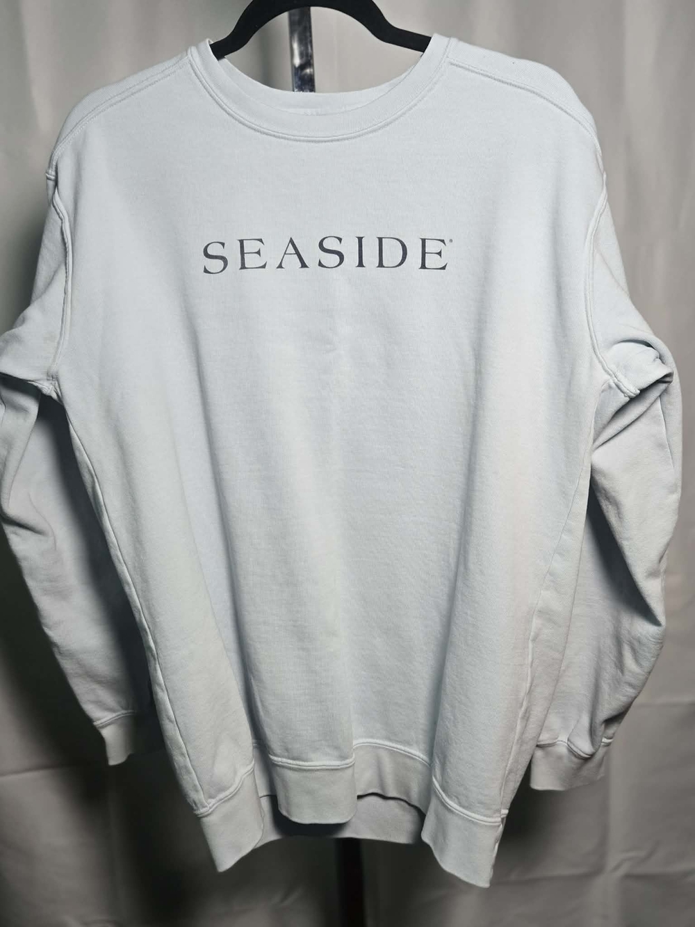 Seaside Crewneck Sweatshirt in Light Gray